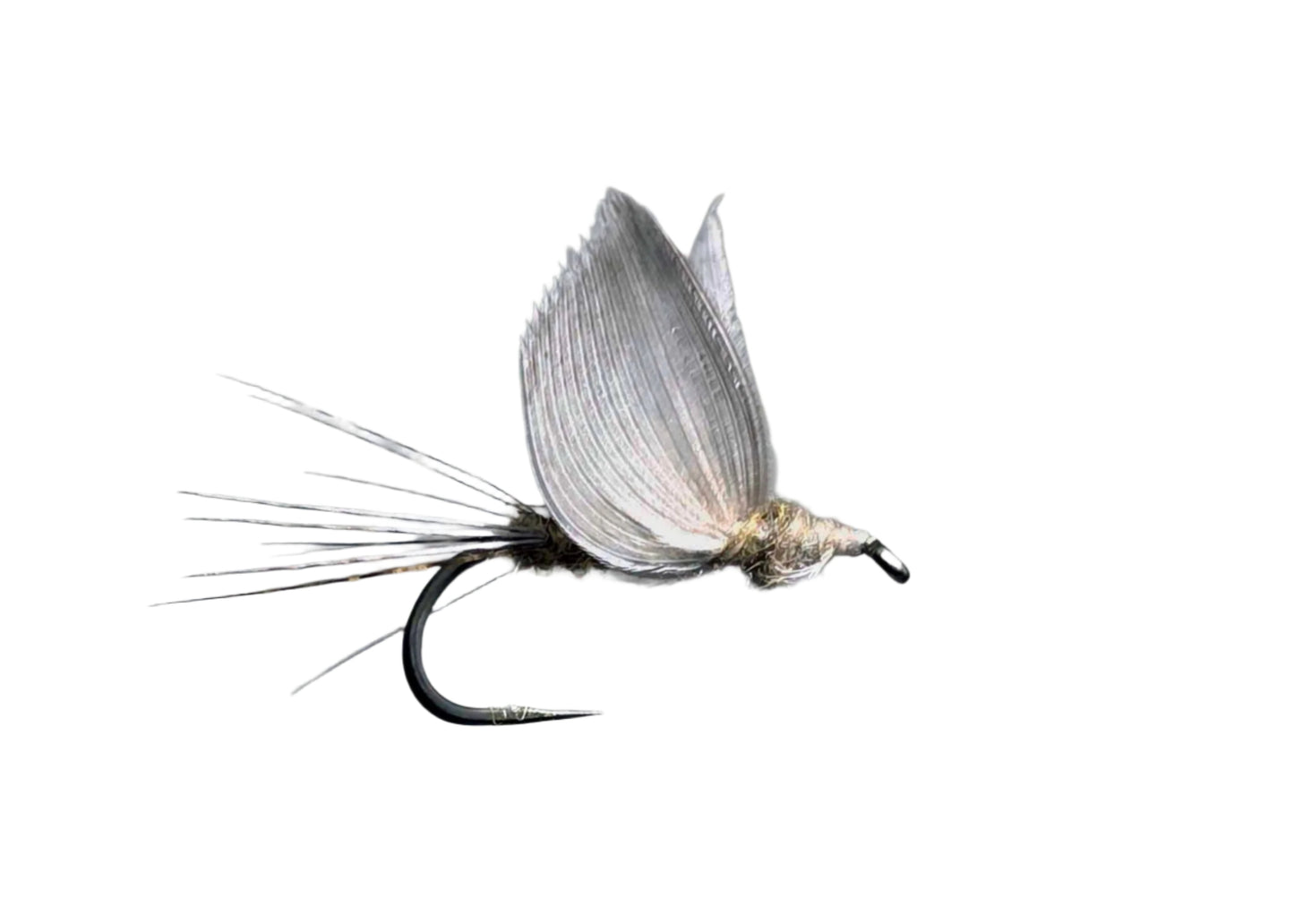 Lawson's No Hackle