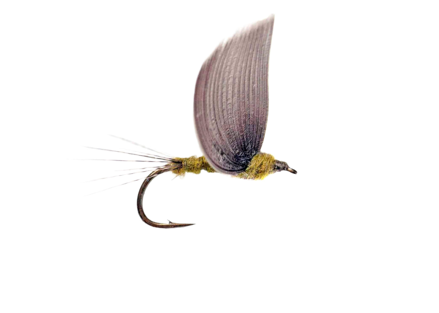 Lawson's No Hackle