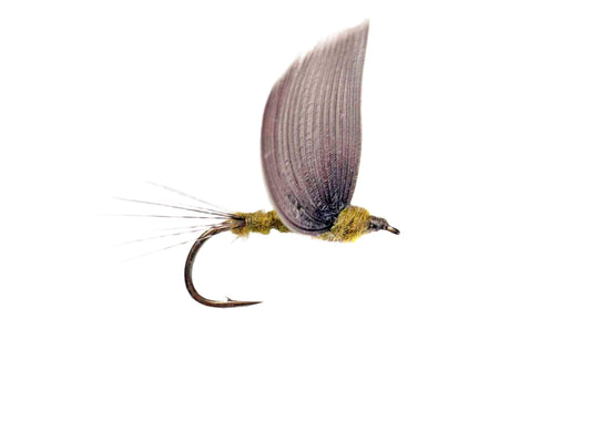 Lawson's No Hackle