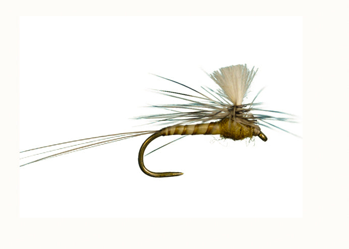 CDC Para. Spinner