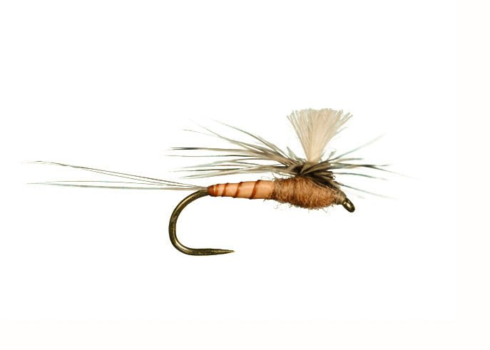 CDC Para. Spinner