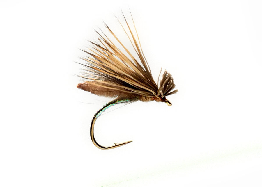 Palomino Caddis
