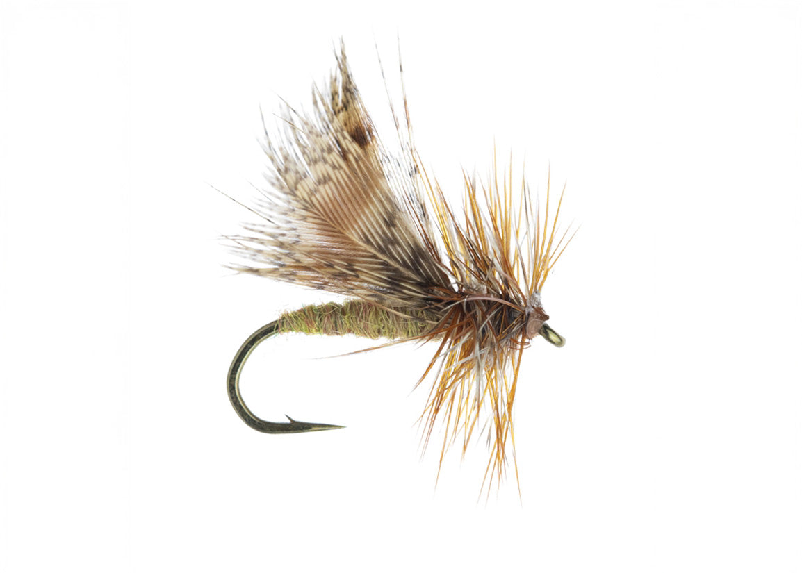 Lawson's Spent Partridge Caddis