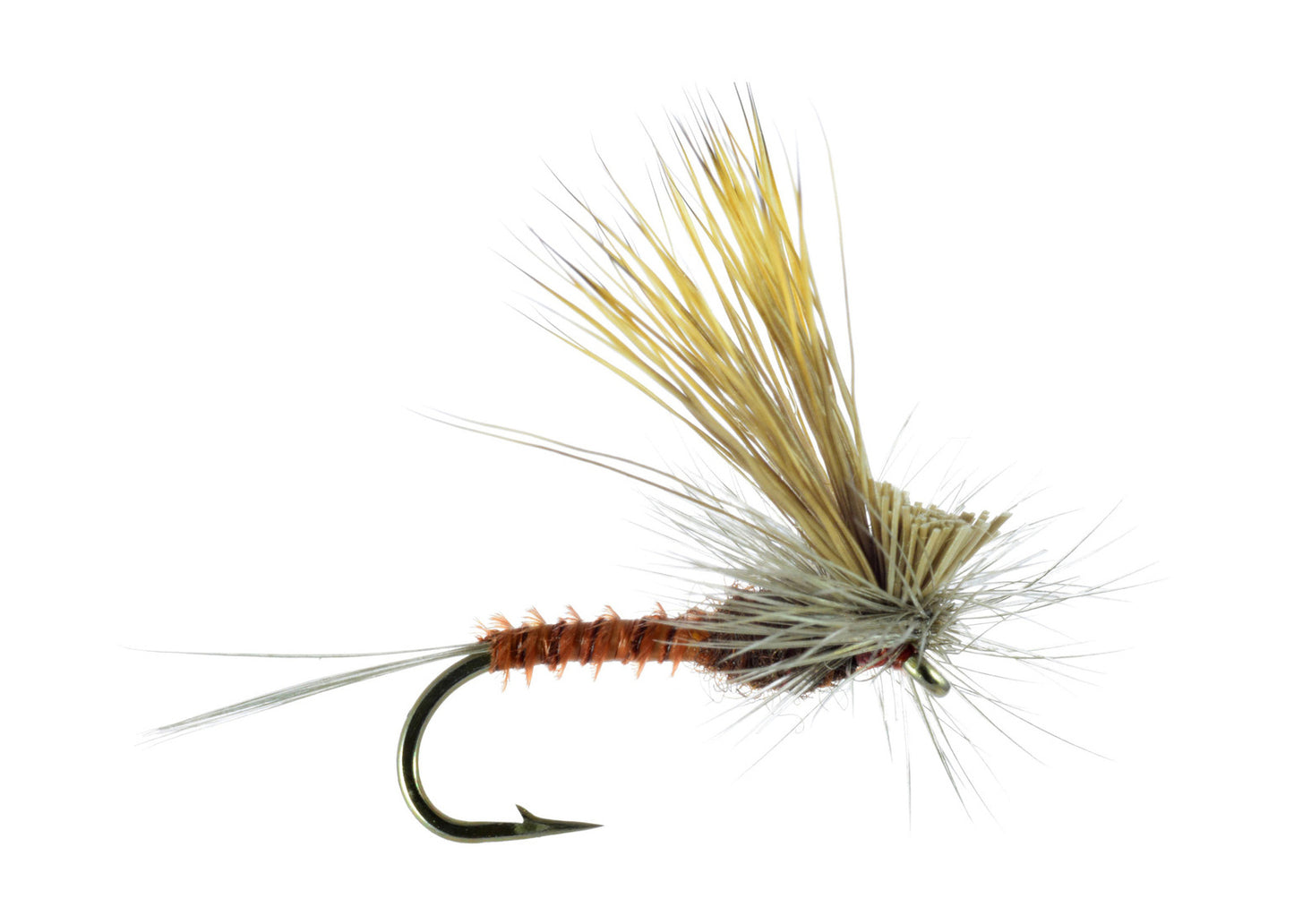 Tilt Wing Dunn