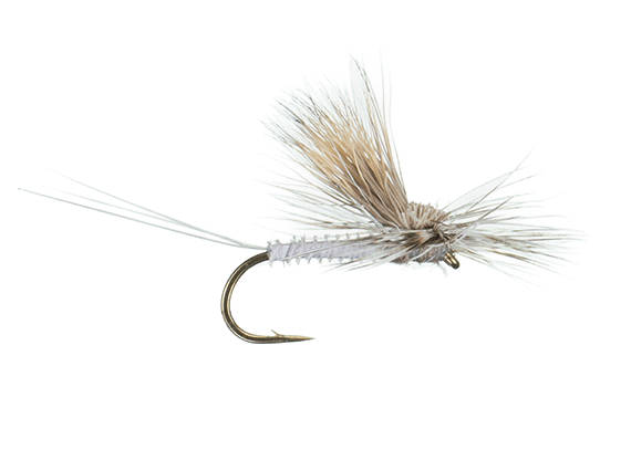 Tilt Wing Dunn