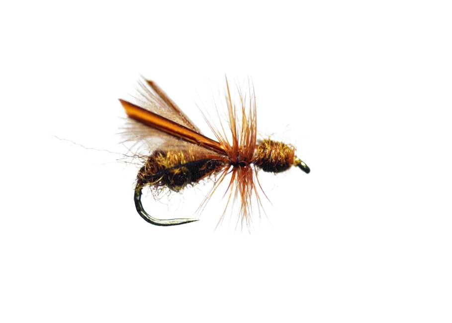 Harrop Water Wasp