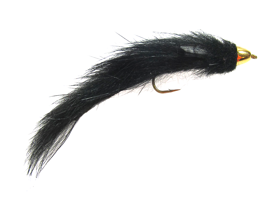 CONEHEAD WOOL SCULPIN