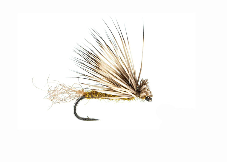 X Caddis