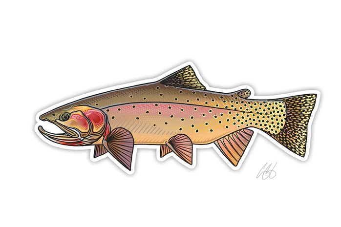 Casey Underwood Fish Decals