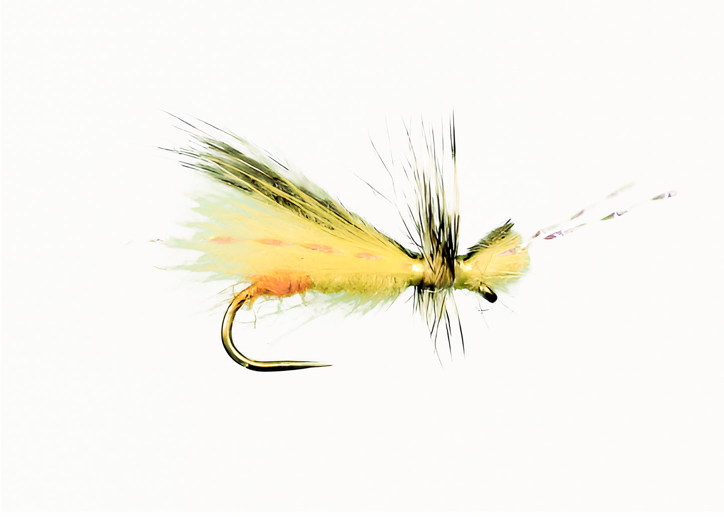 Yellow Sally Sexy