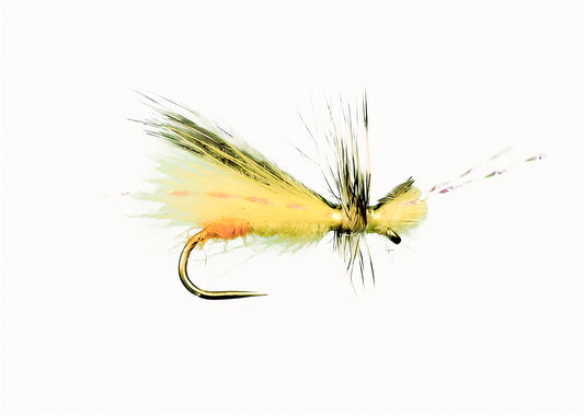 Yellow Sally Sexy