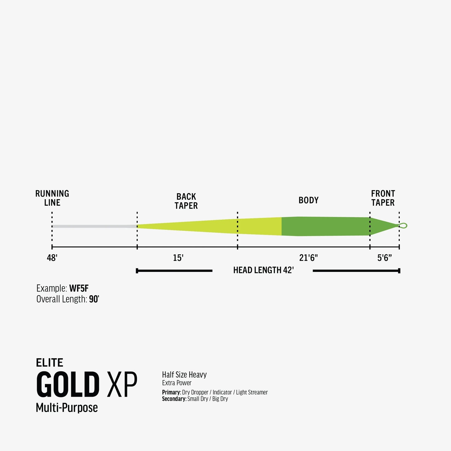 Elite Gold XP