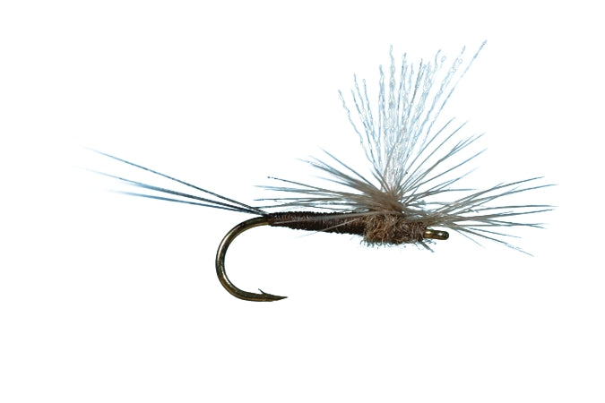 trico spinners