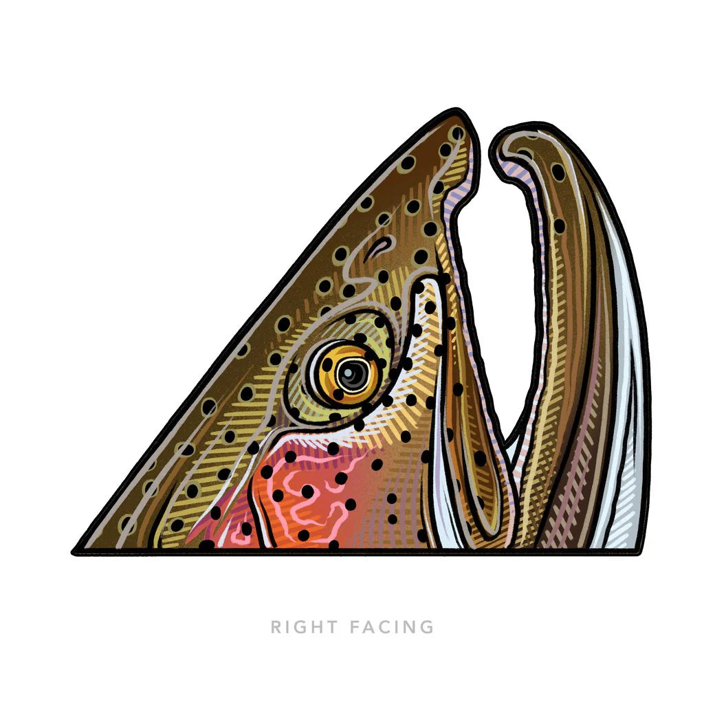 Casey Underwood Specialty Fish Decals