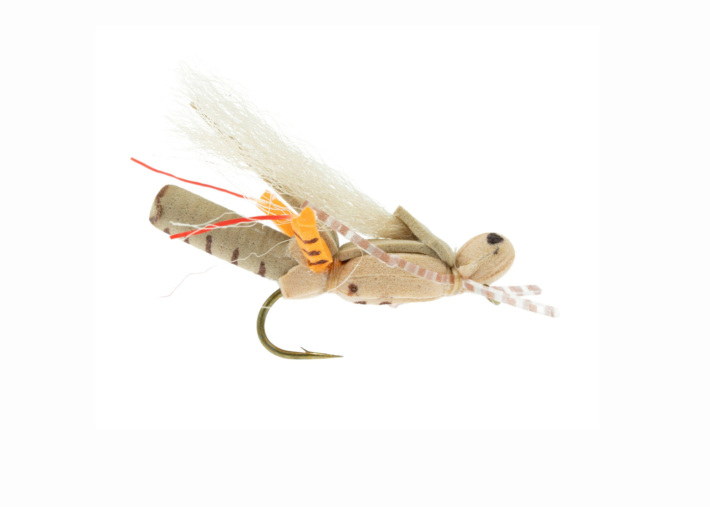Thunder Grass Hopper