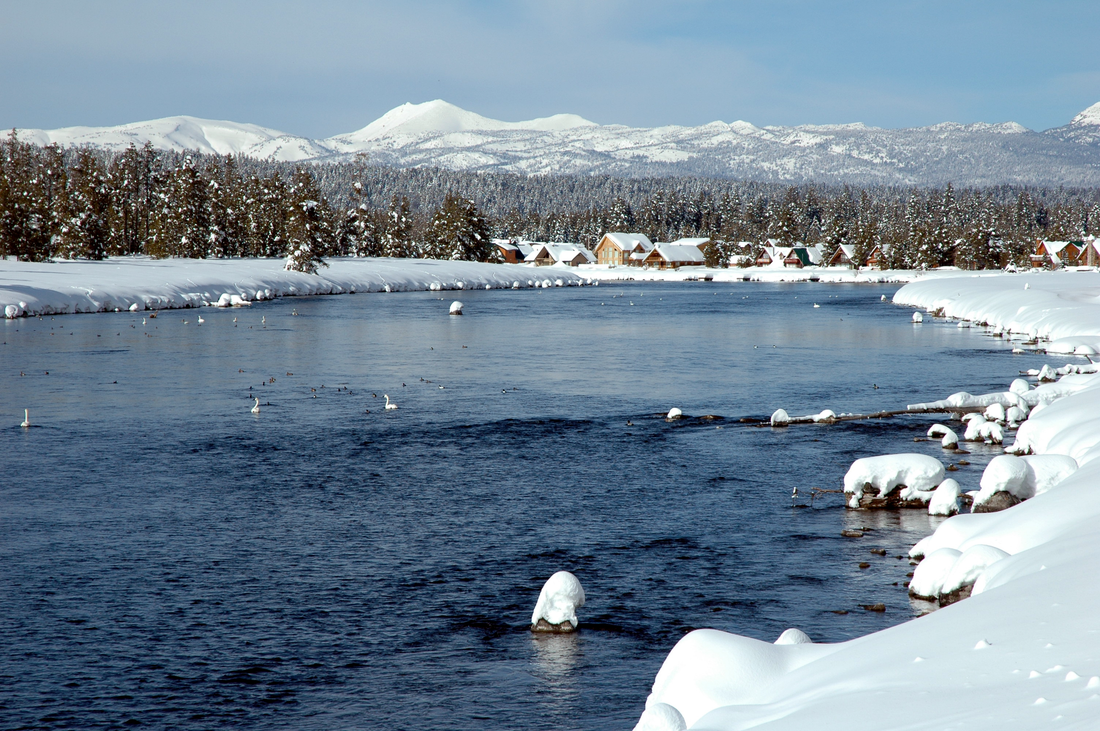 Fishing Report - April 1, 2025