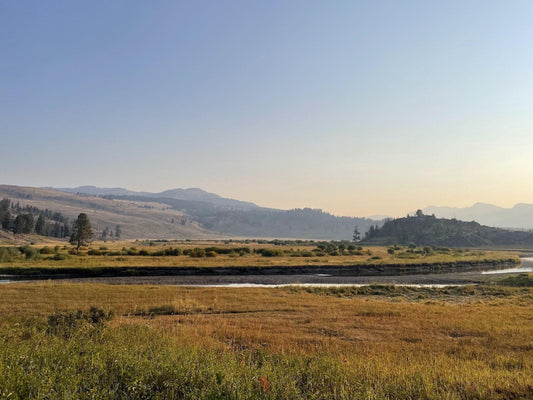 Slough Creek Meadow
