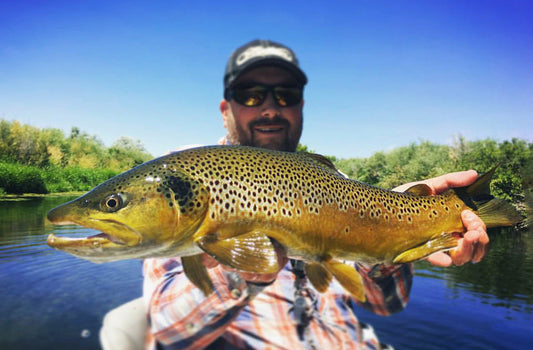 Fishing Report - August 22, 2025