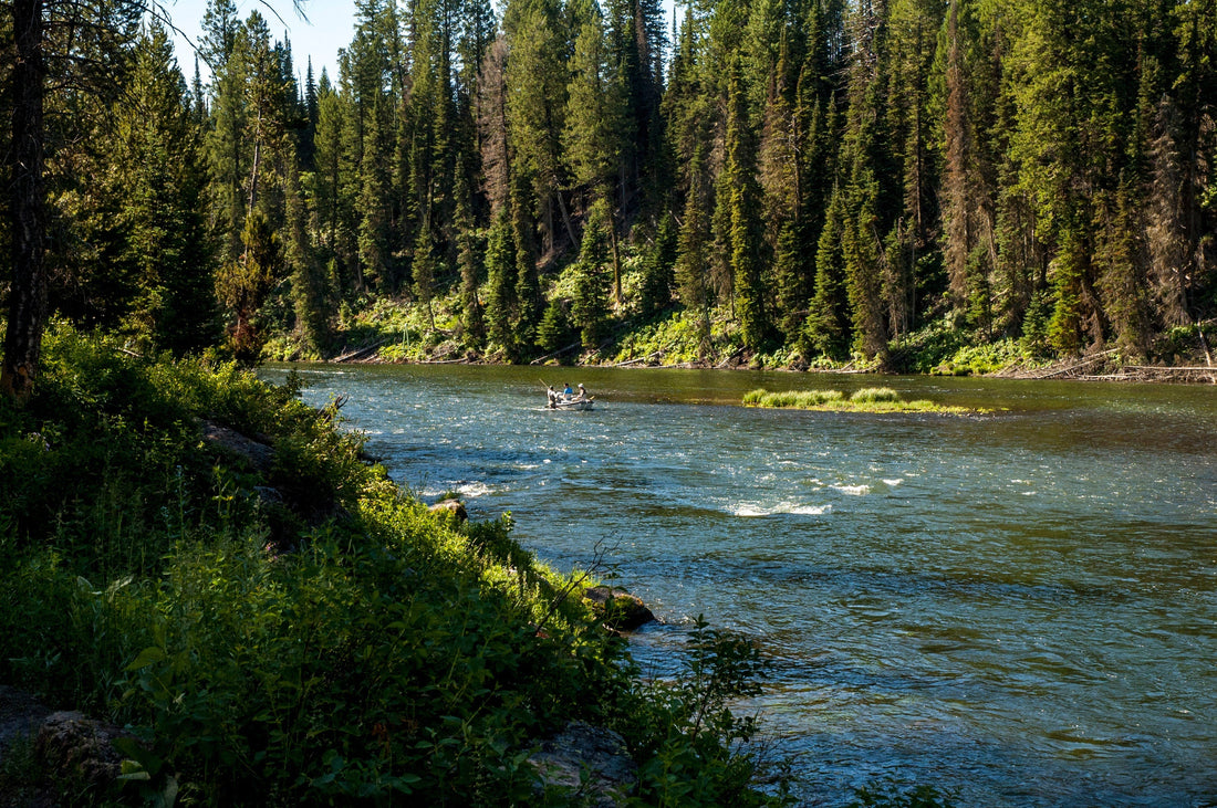 Big Bugs on the Henry’s Fork