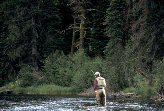 Fishing Report - June 13, 2025