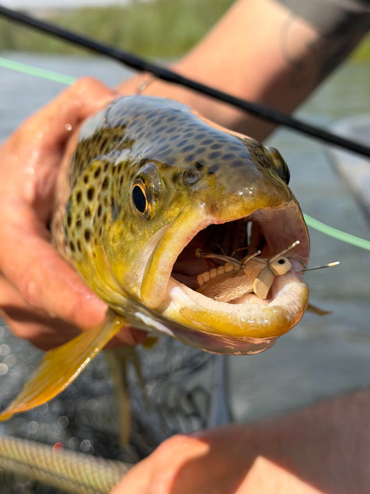 Fishing Report - August 14, 2026