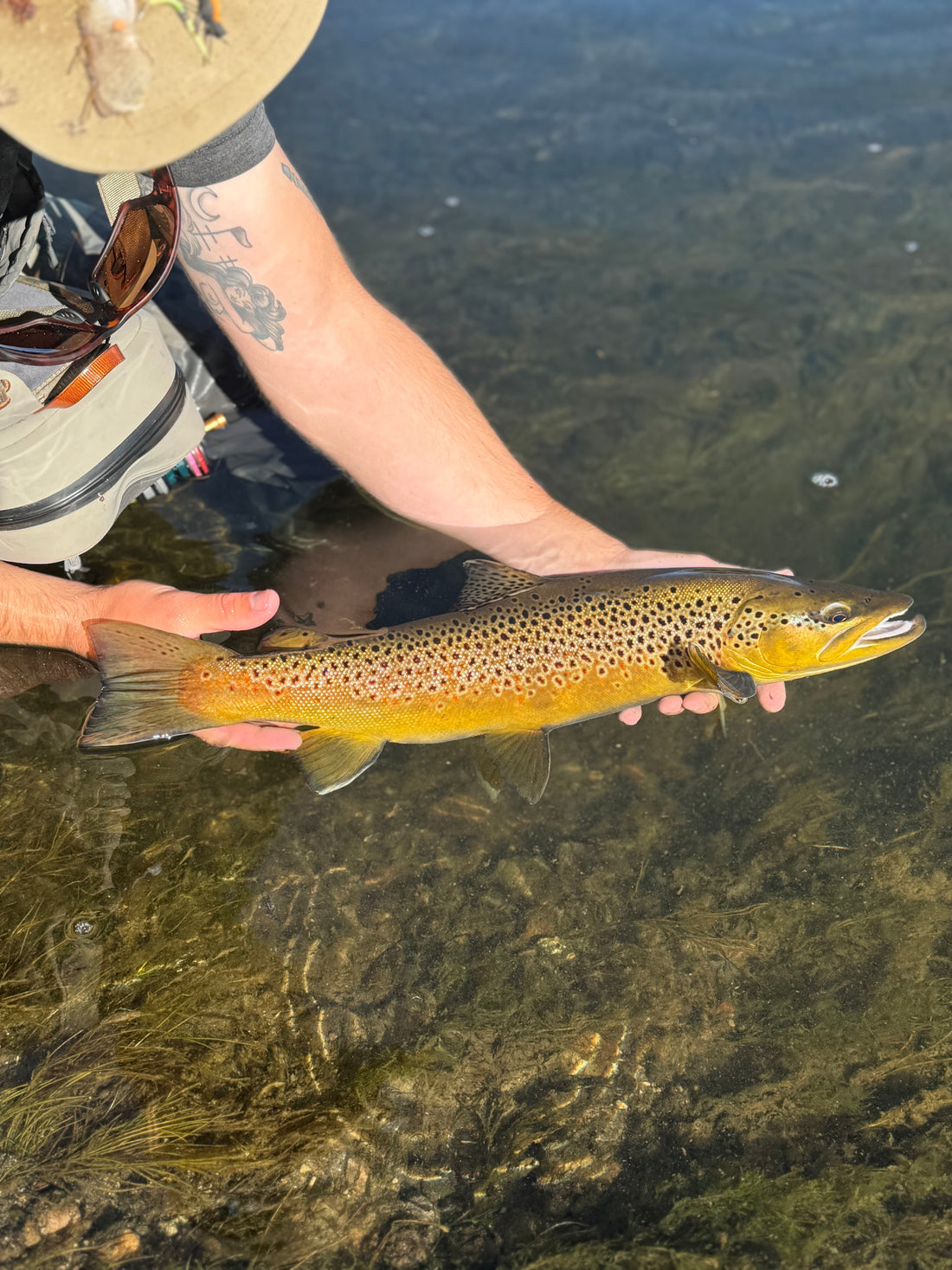 Fishing Report - September 19th, 2026