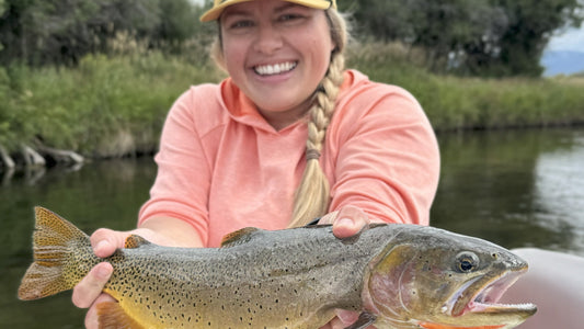 Fishing Report - September 12, 2025