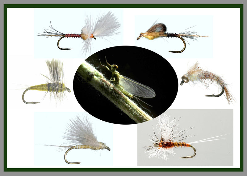 Fly Assortments