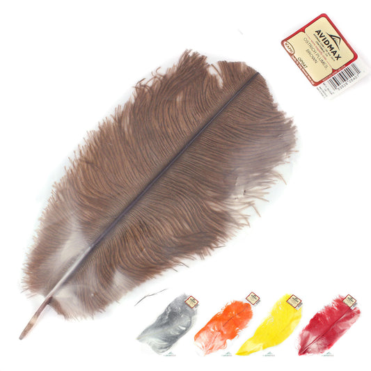 Ostrich Plumes