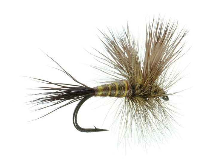 Lawson's Brown Drake Wulff