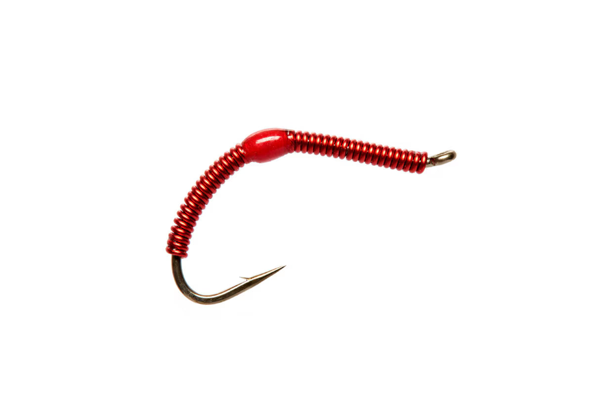 Wire Worm