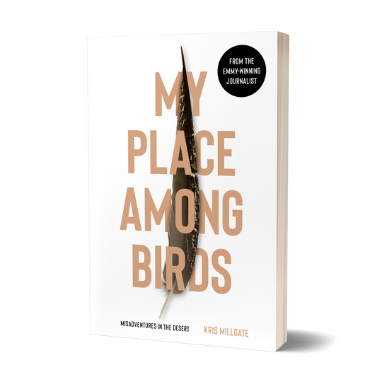 My Place Among Birds