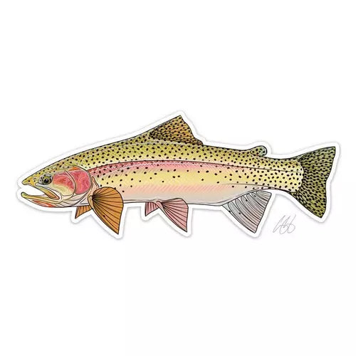 Casey Underwood Fish Decals