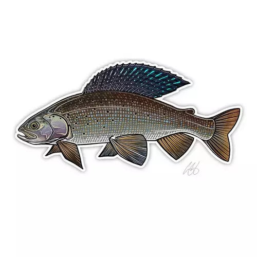 Casey Underwood Fish Decals