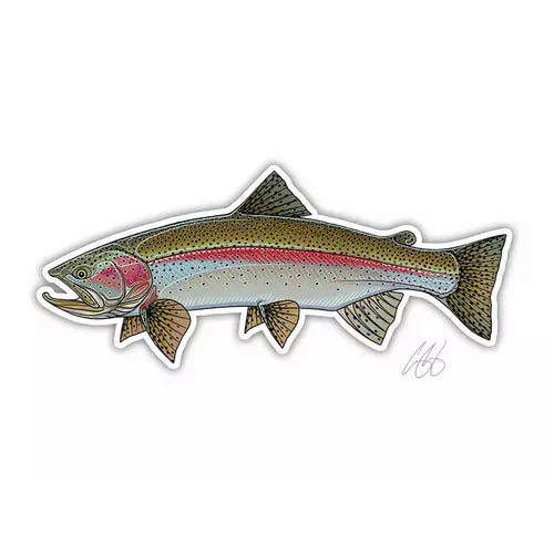 Casey Underwood Fish Decals