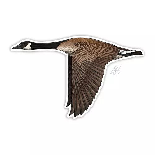 Casey Underwood Bird Decals