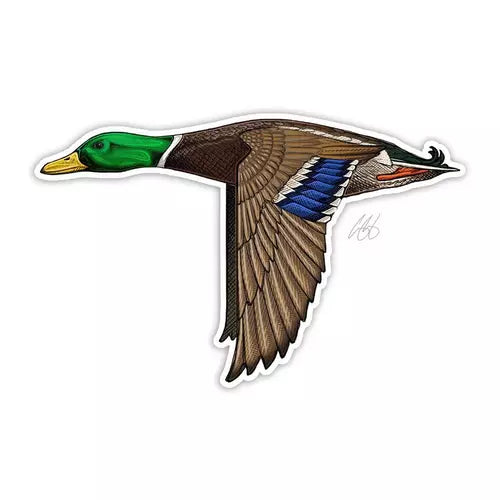 Casey Underwood Bird Decals