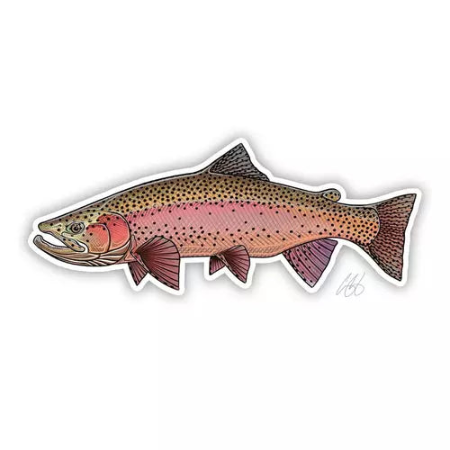 Casey Underwood Fish Decals