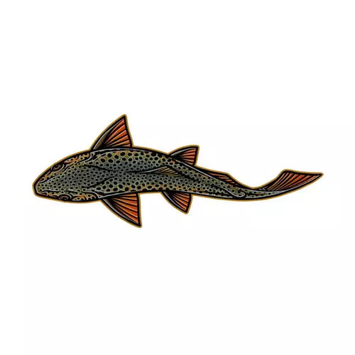 Casey Underwood Specialty Fish Decals