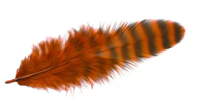 Grizzly Matuka Soft Hackle