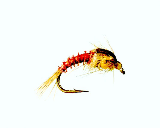 BH Thorax Emerger