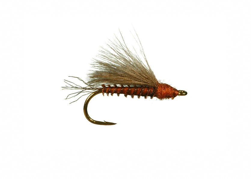 Brook's CDC Emerger