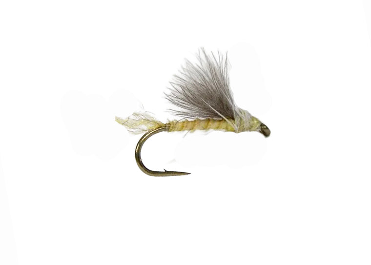 Brook's CDC Emerger