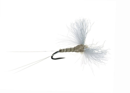 CDC Biot Spinner