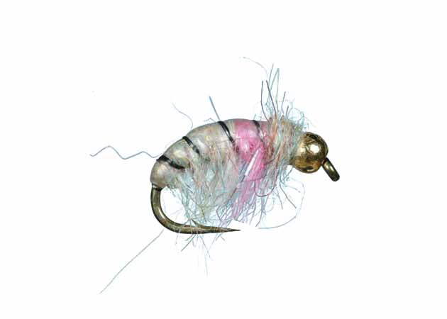 Czech Nymph