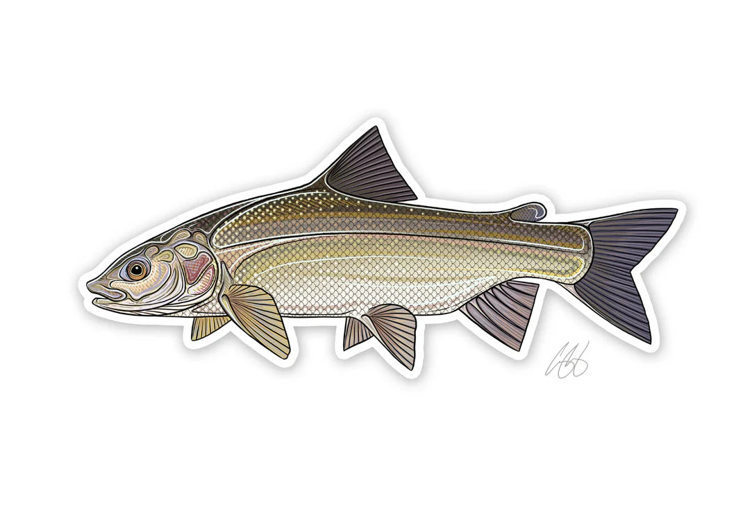 Casey Underwood Fish Decals