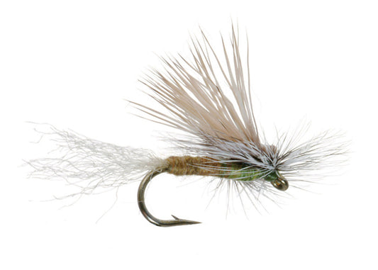 E/C Caddis