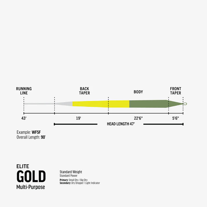 Elite RIO Gold