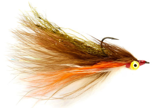 Elden's Shiner Minnow