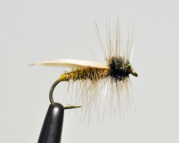 Hemingway Caddis